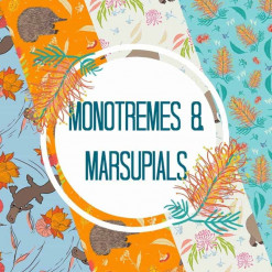 Monotremes & Marsupials